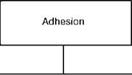 Classical Adhesion Theories