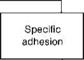 Classical Adhesion Theories