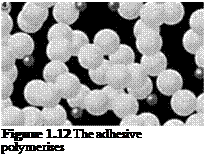Подпись: Figure 1.12 The adhesive polymerises 