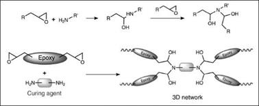 Amine curing agents