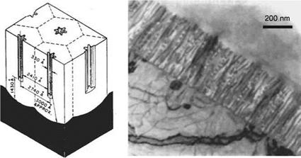 Adhesive Bonding of Aluminum