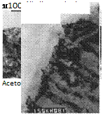 Adhesive Bonding of Aluminum