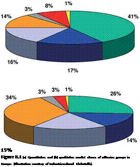 Подпись: 19% Figure 8.1 (a) Quantitative and (b) qualitative market shares of adhesive groups in Europe. (Illustration courtesy of Industrieverband Klebstoffe). 