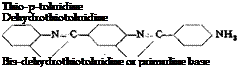 Подпись: Thio-p-toluidine Dehydrothiotoluidine Bis-dehydrothiotoluidine or primuline base 