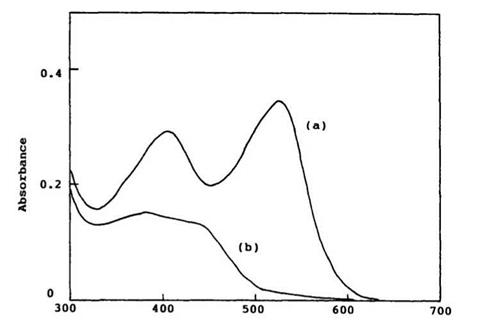 Absorption Spectra of the Colored Form