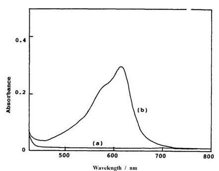 Absorption Spectra of Photomerocyanine Forms