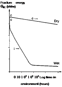 Interfacial contact and intrinsic adhesion