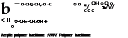 Reactions of Hydroxyl Containing Polymers with Polyanhydrides