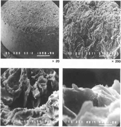 Methods of surface pretreatment