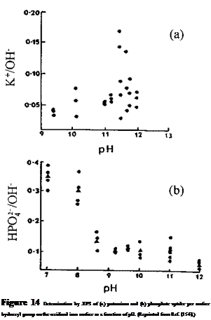 Подпись: Figure 14 Determination by XPS of (a) potassium and (b) phosphate uptake per surface hydroxyl group on the oxidized iron surface as a function of pH. (Reprinted from Ref. [154].) 