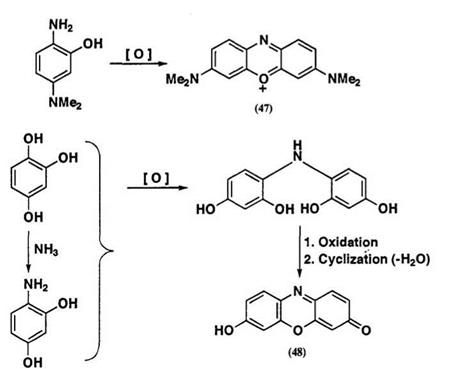 REACTION OF QUINONES