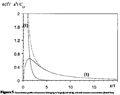 Подпись: Figure 5 Concentration profiles of monomers belonging to loops (l) and tail (t), and total monomer concentration (dotted line). 