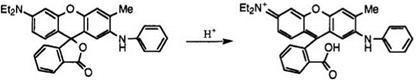 PROPERTIES OF FLUORAN COMPOUNDS