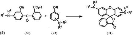 SYNTHESIS OF FLUORAN COMPOUNDS